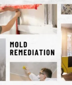 Why Professional Mold Remediation Is Important